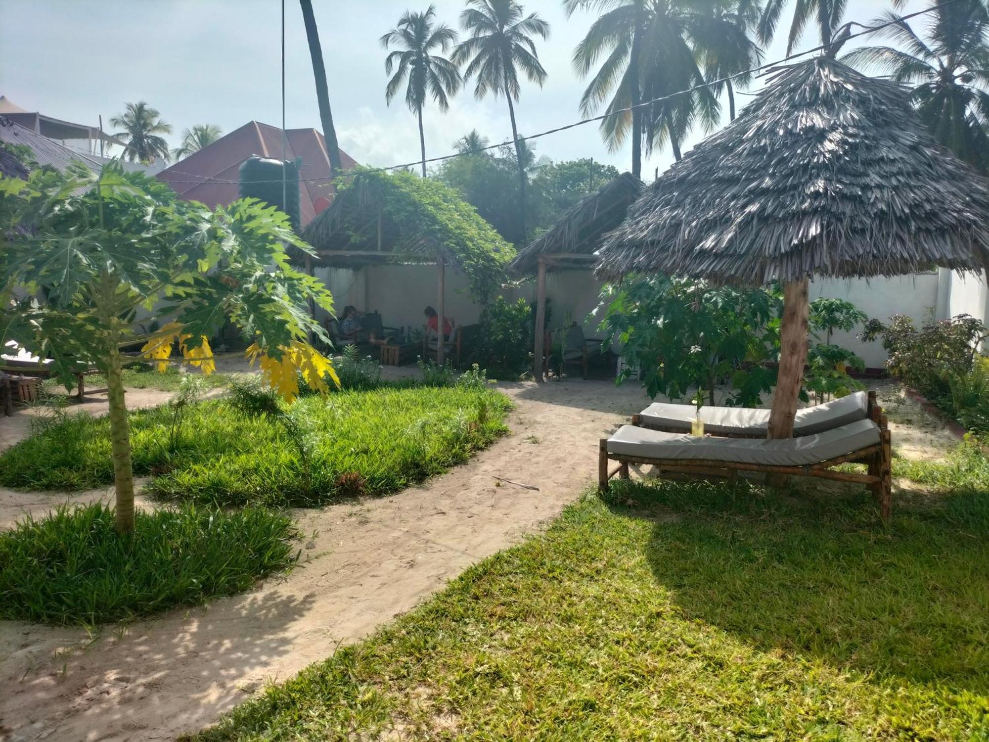 Mambo Leo Hostel Paje Extérieur photo