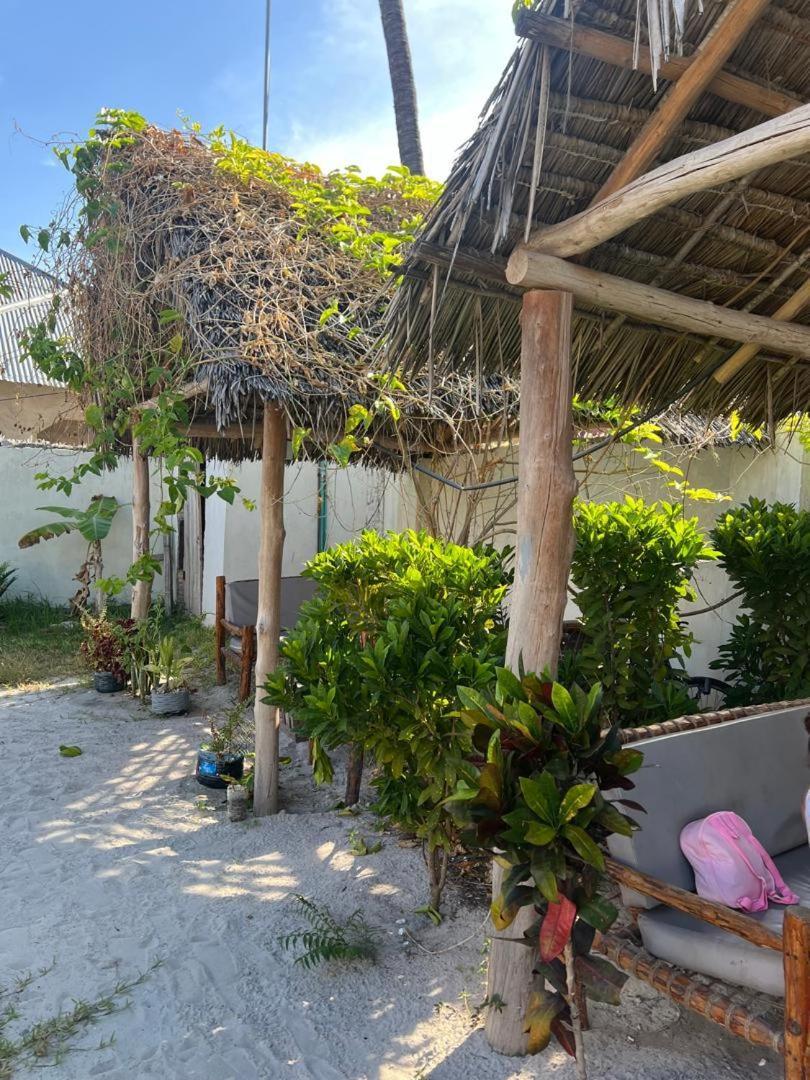 Mambo Leo Hostel Paje Extérieur photo